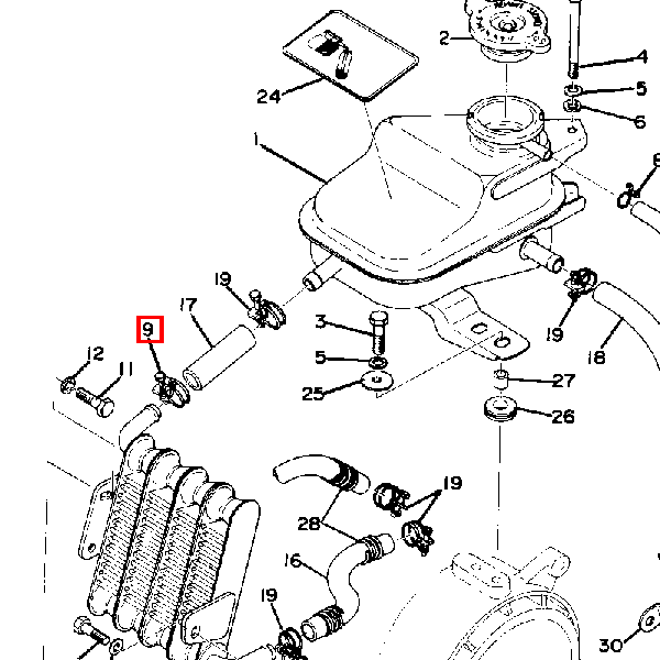 Schlauchschelle (834-21822-00)